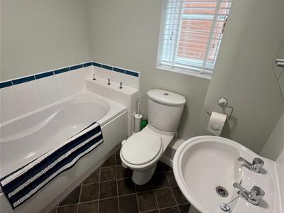 Picture 13